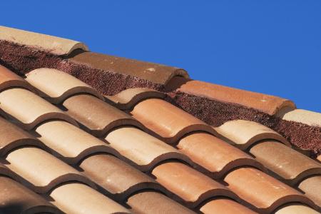 Roof Streaks: Where Do They Come From?